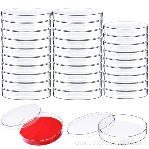 High Boro3.3 Glass Petri Dish Sizes: 60mm, 90mm, 100mm, 120mm, 150mm - Laboratory Disposables Glassware Collection